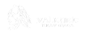 Valkyrie Krav Maga